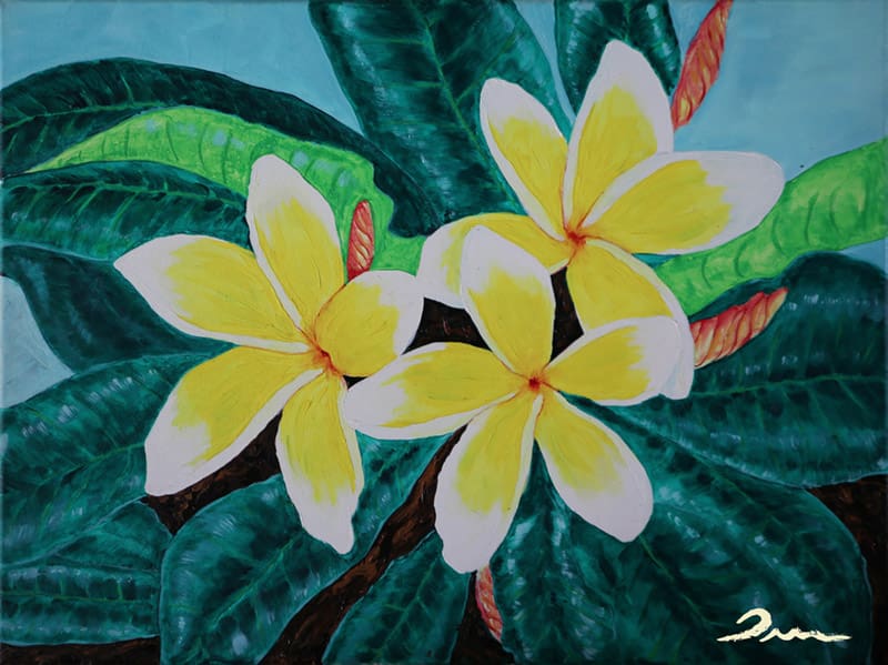 HawaiianPlumaria_800